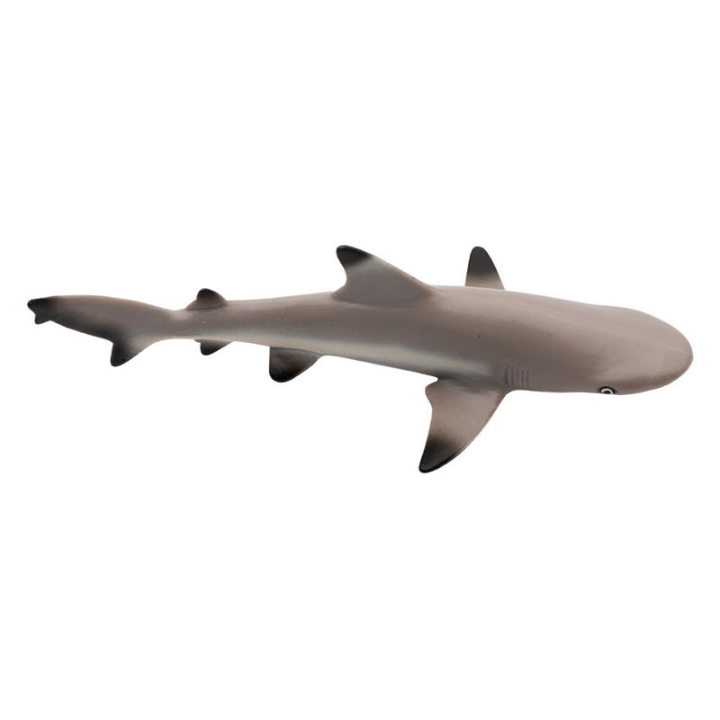 Safari Ltd Blacktip Reef Shark