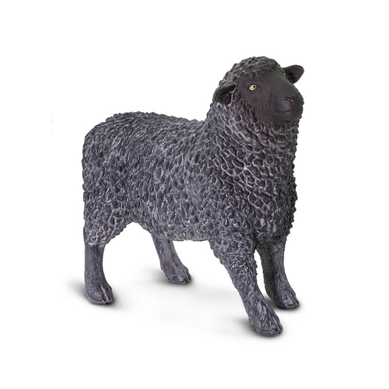 Safari Ltd Black Sheep