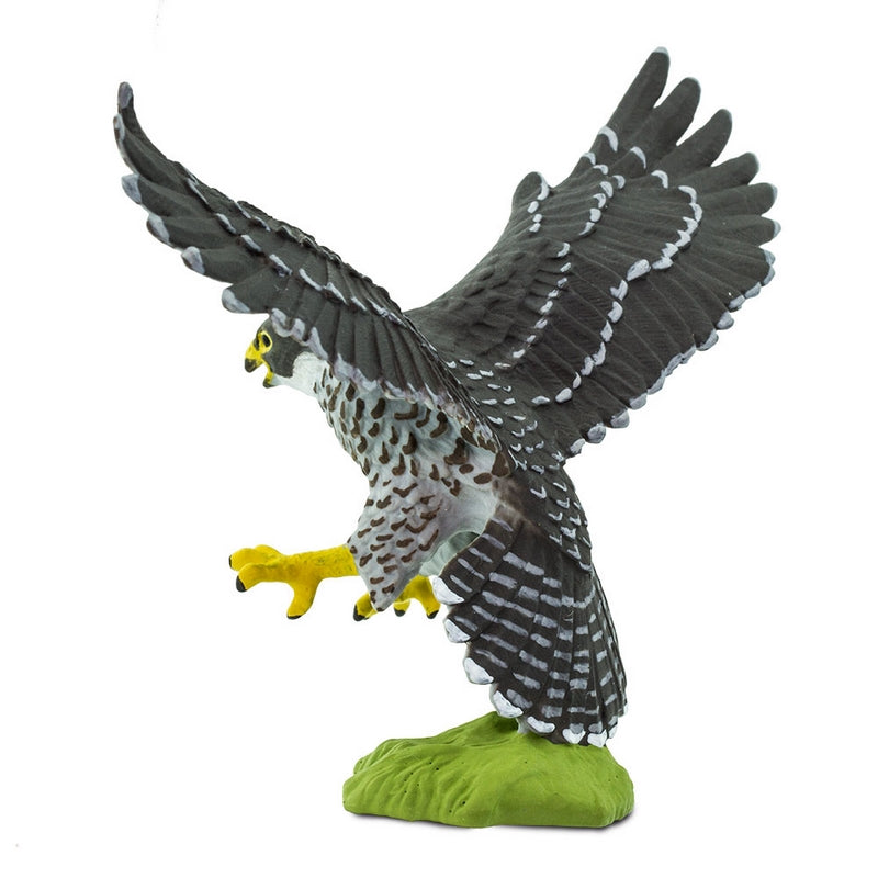 Safari Ltd Peregrine Falcon