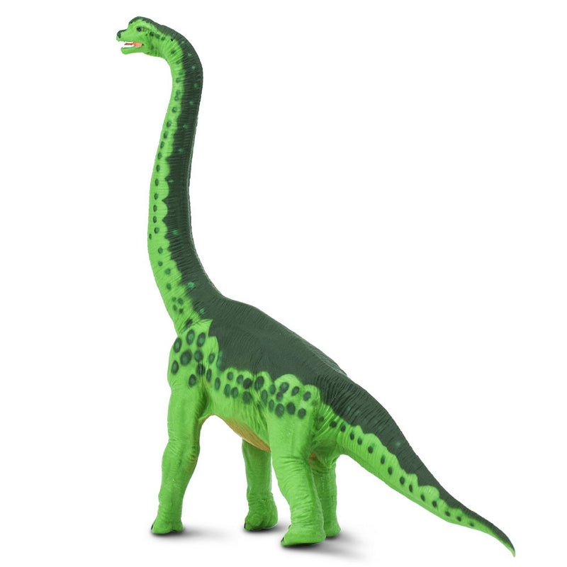 Safari Ltd Brachiosaurus