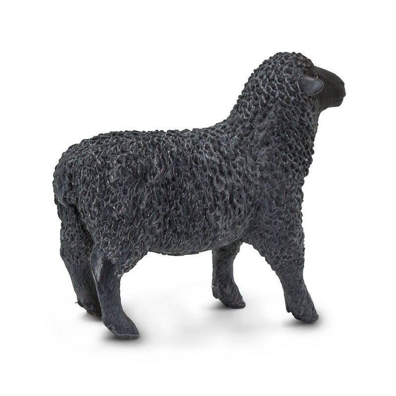 Safari Ltd Black Sheep