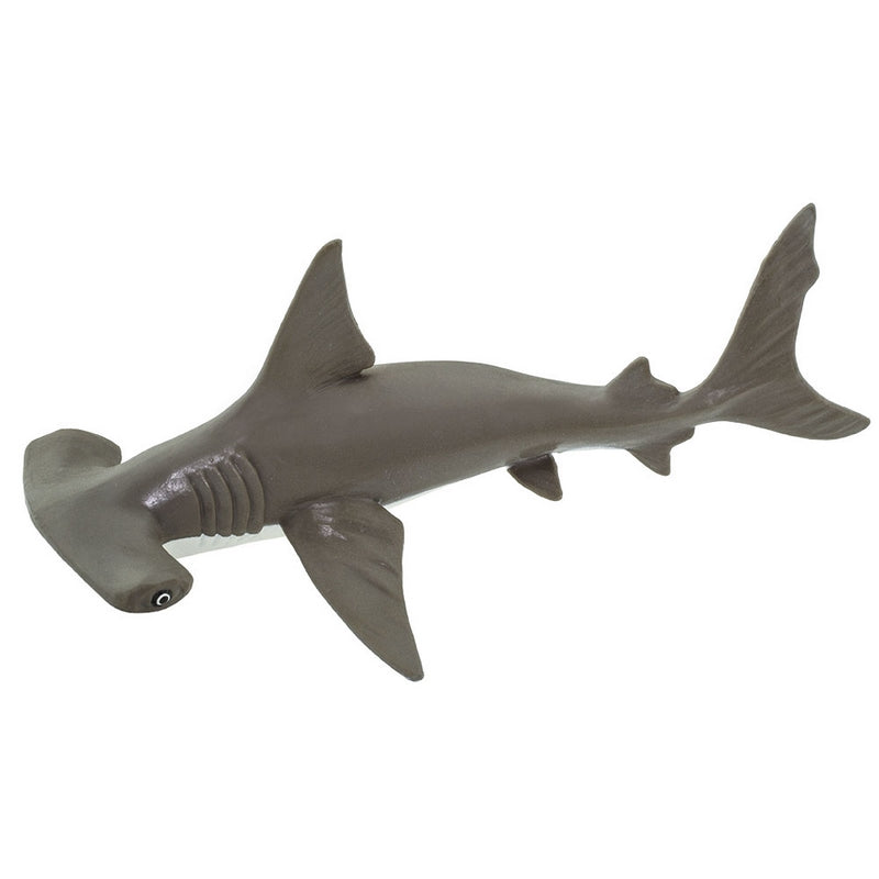 Safari Ltd Hammerhead Shark Baby