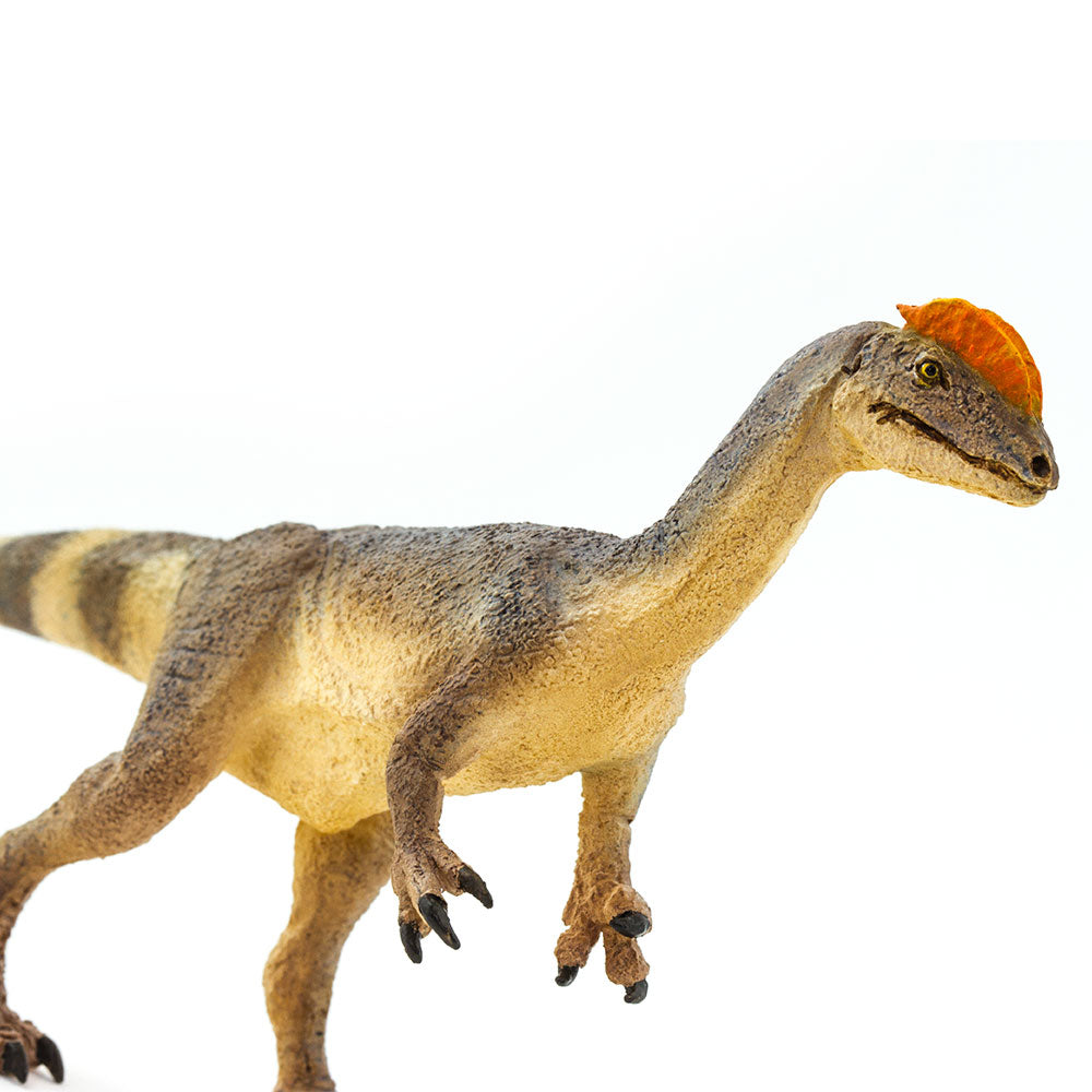 Safari Ltd Dilophosaurus