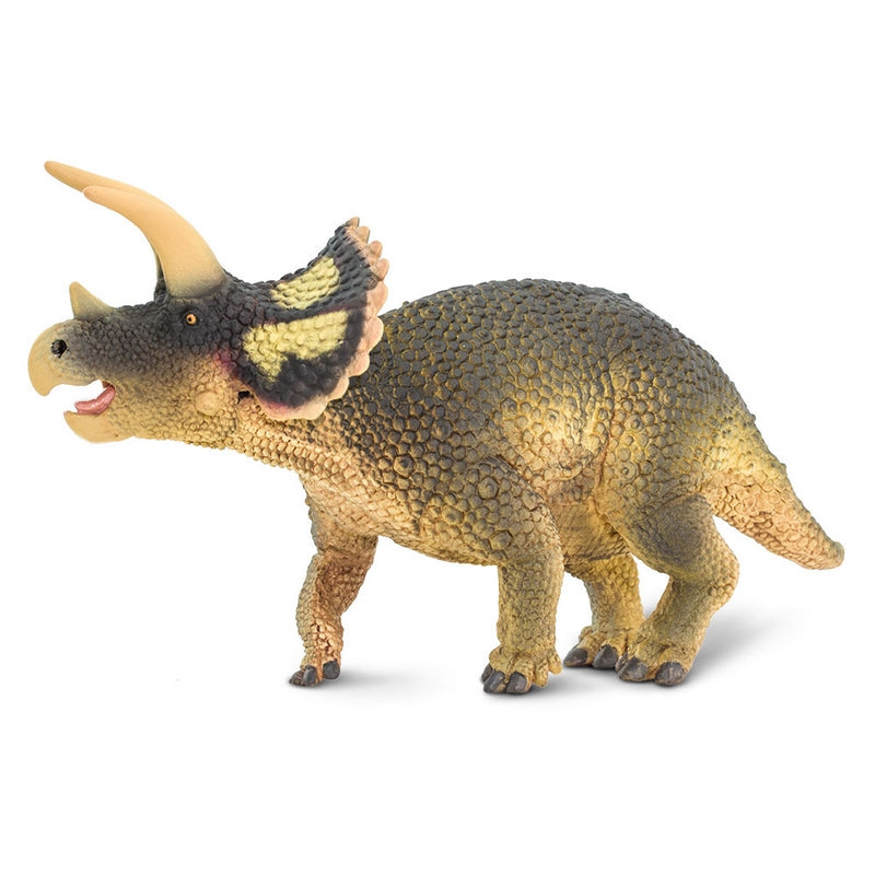 Safari Ltd Triceratops