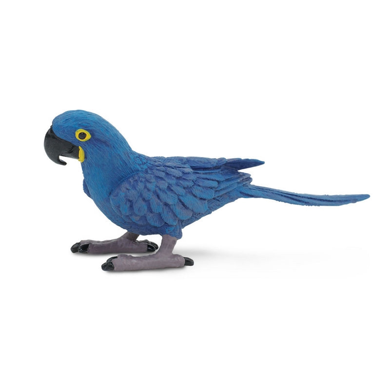 Safari Ltd Hyacinth Macaw