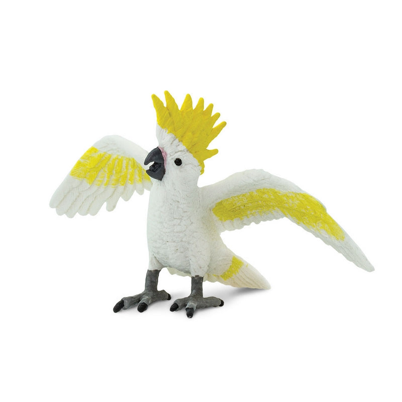 Safari Ltd Cockatoo