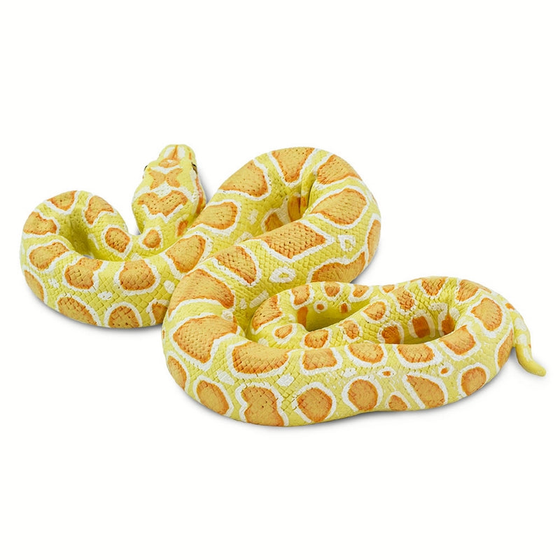 Safari Ltd Albino Burmese Python