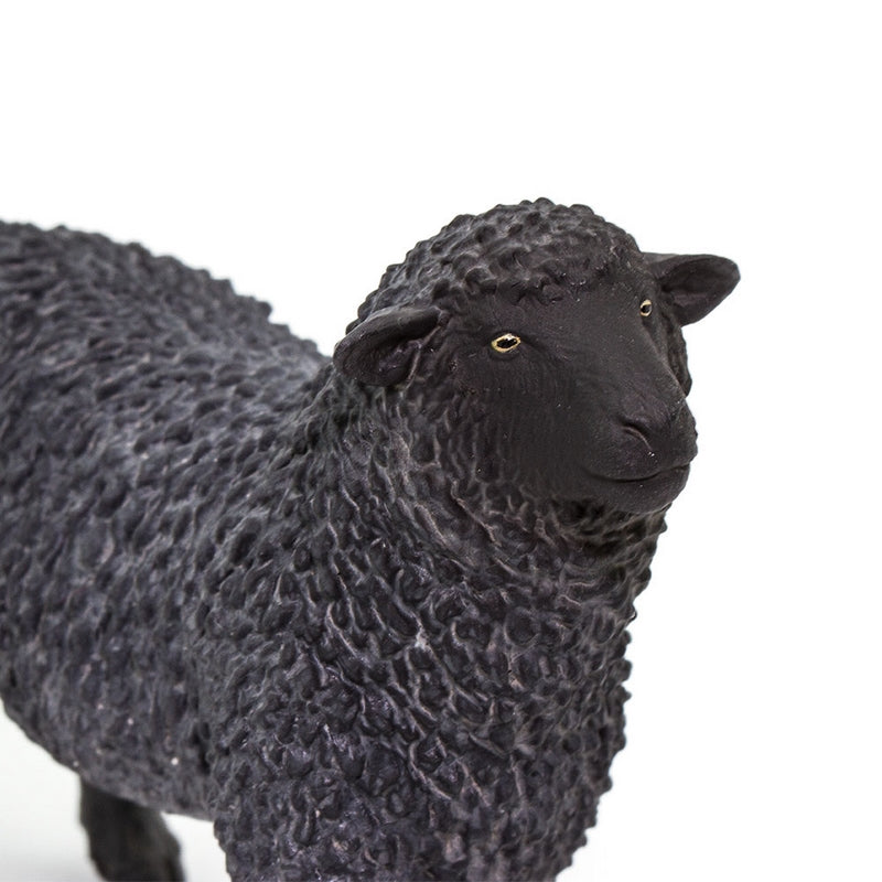 Safari Ltd Black Sheep