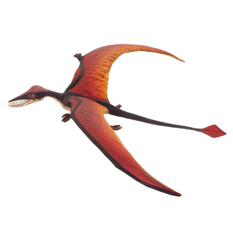 Safari Ltd Rhamphorhynchus