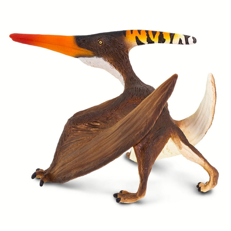 Safari Ltd Pteranodon