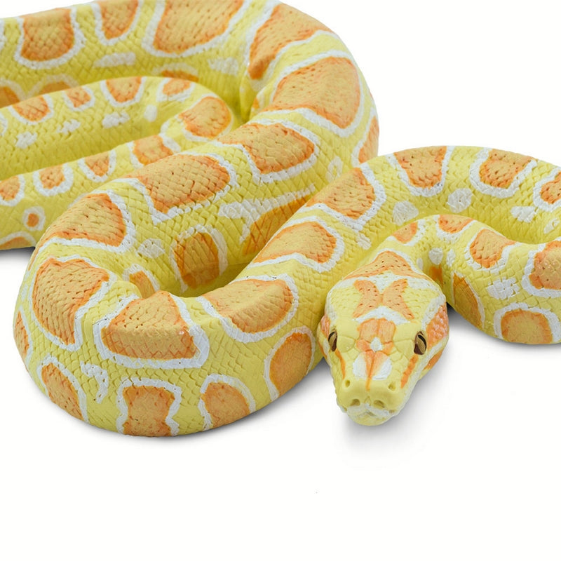 Safari Ltd Albino Burmese Python