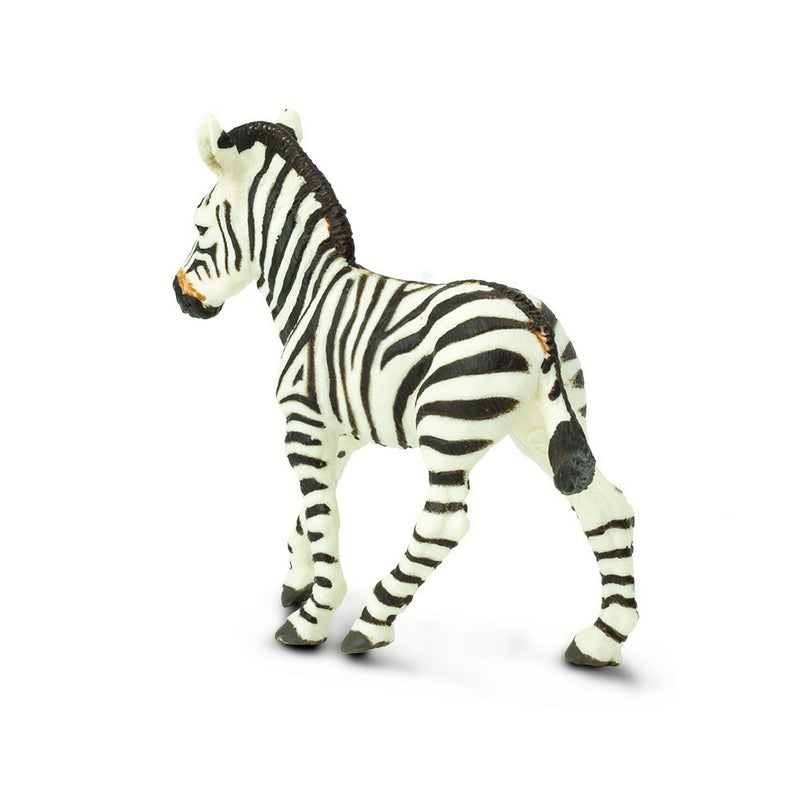 Safari Ltd Zebra Foal