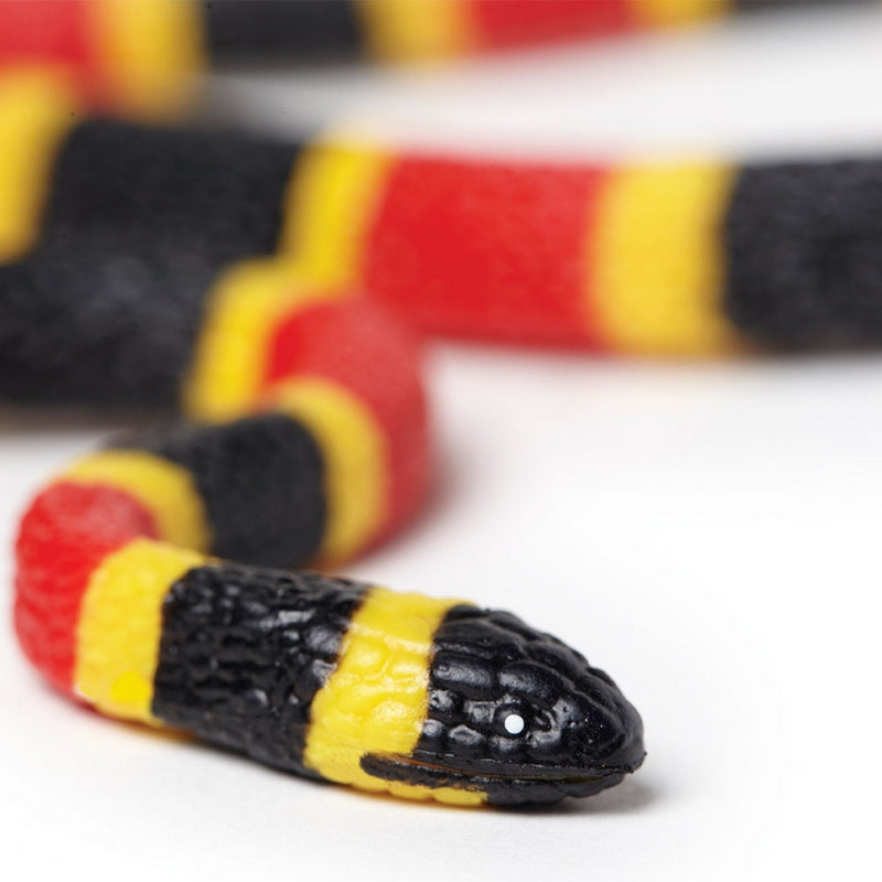 Safari Ltd Coral Snake Baby