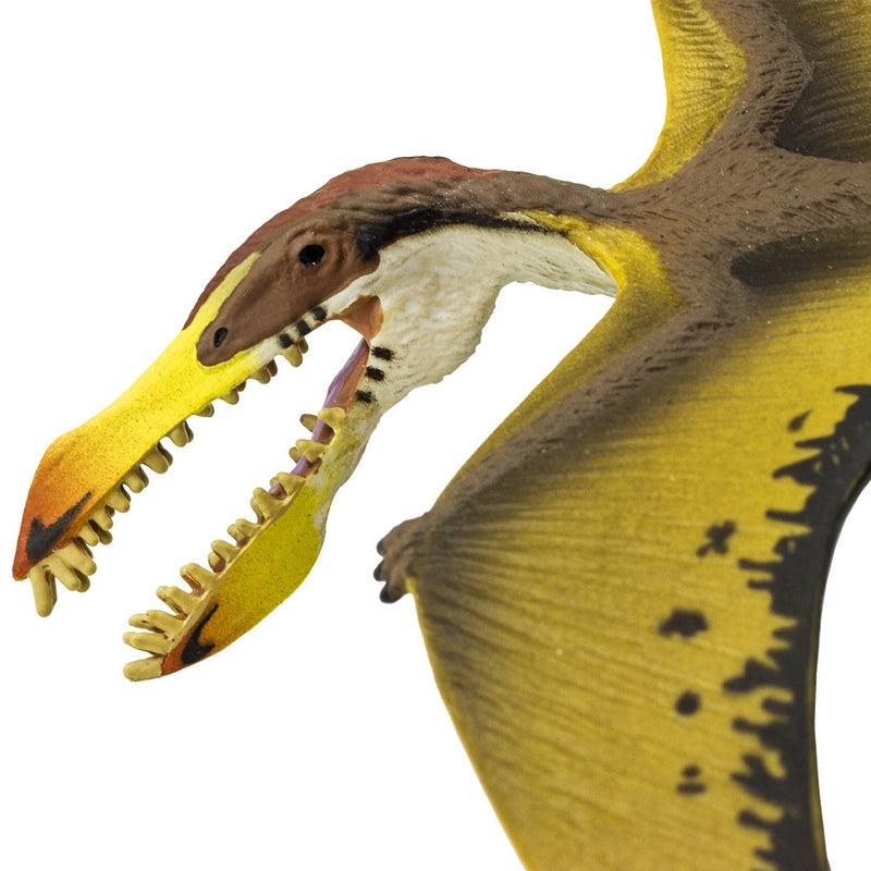 Safari Ltd Pterosaur