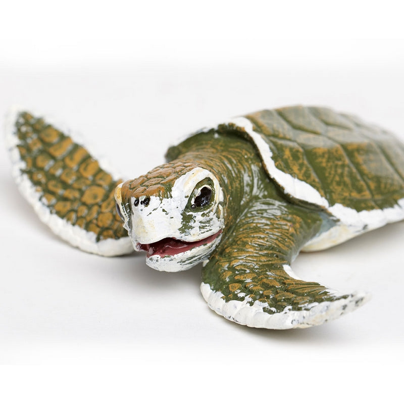 Safari Ltd Kemps Ridley Sea Turtle Baby