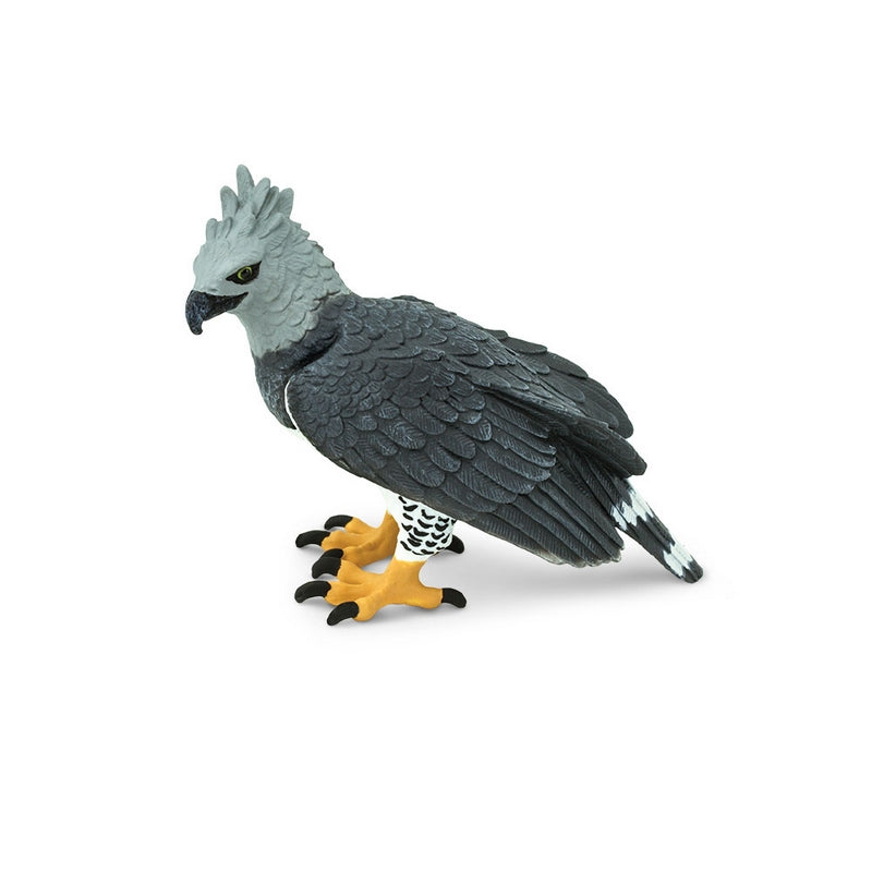 Safari Ltd Harpy Eagle