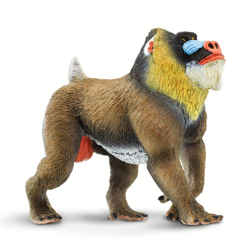 Safari Ltd Mandrill