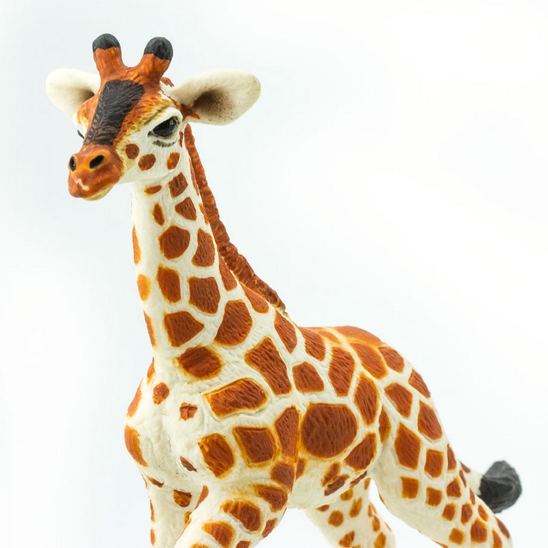 Safari Ltd Reticulated Giraffe Baby