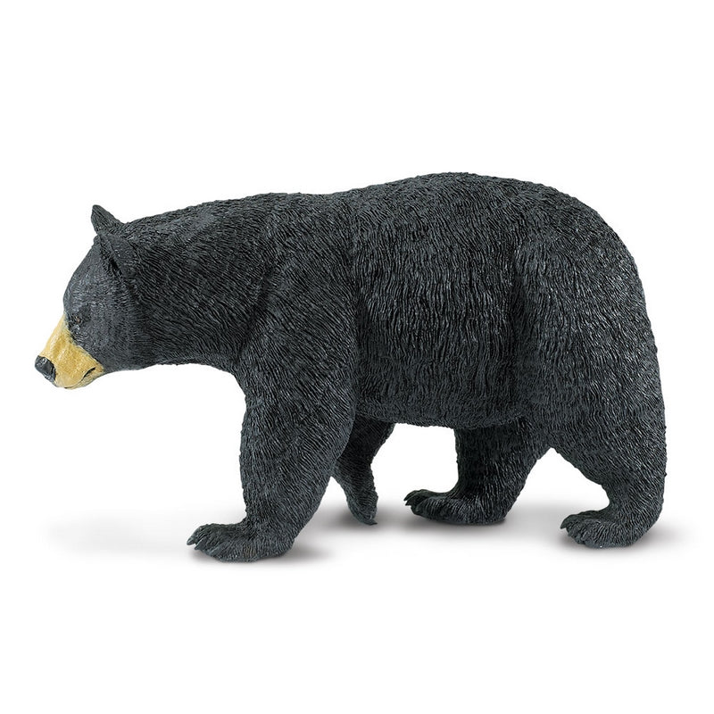 Safari Ltd Black Bear