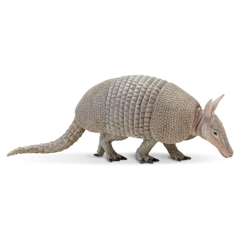 Safari Ltd Armadillo