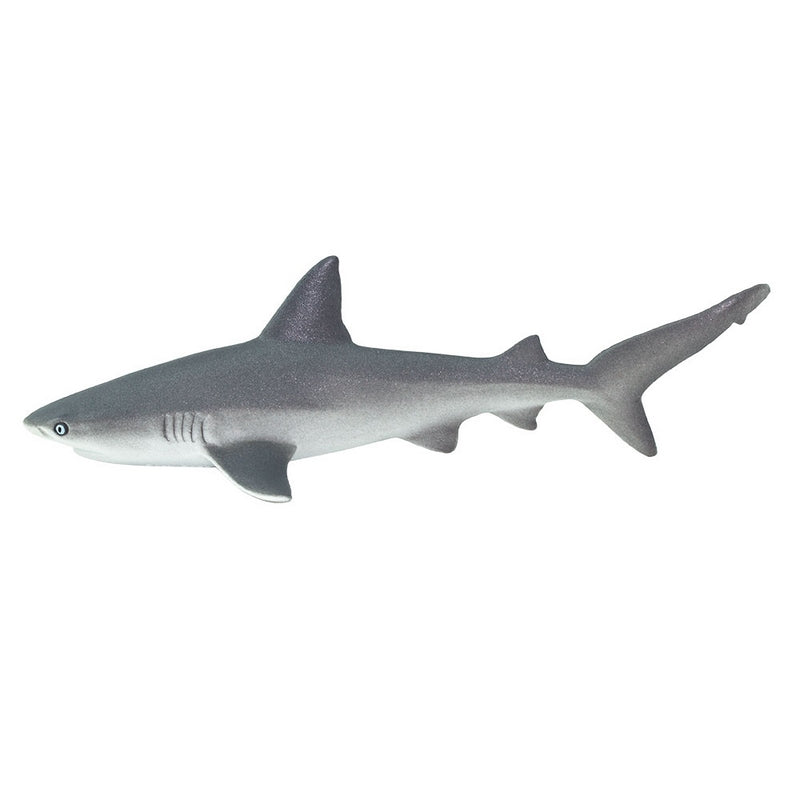 Safari Ltd Gray Reef Shark