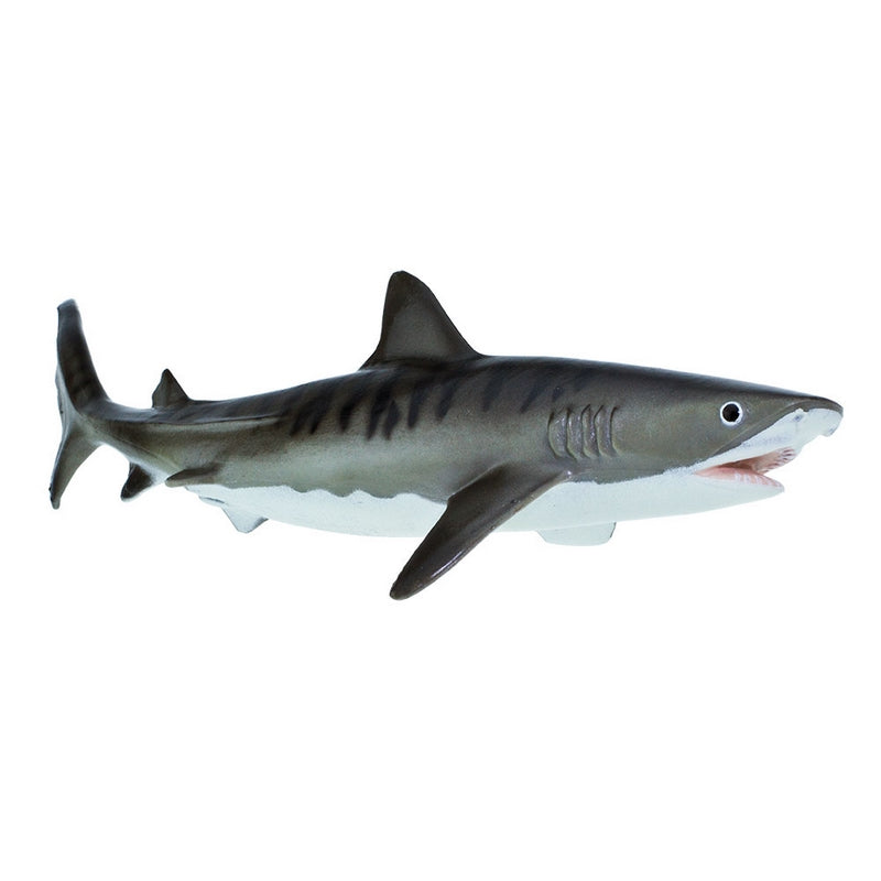 Safari Ltd Tiger Shark