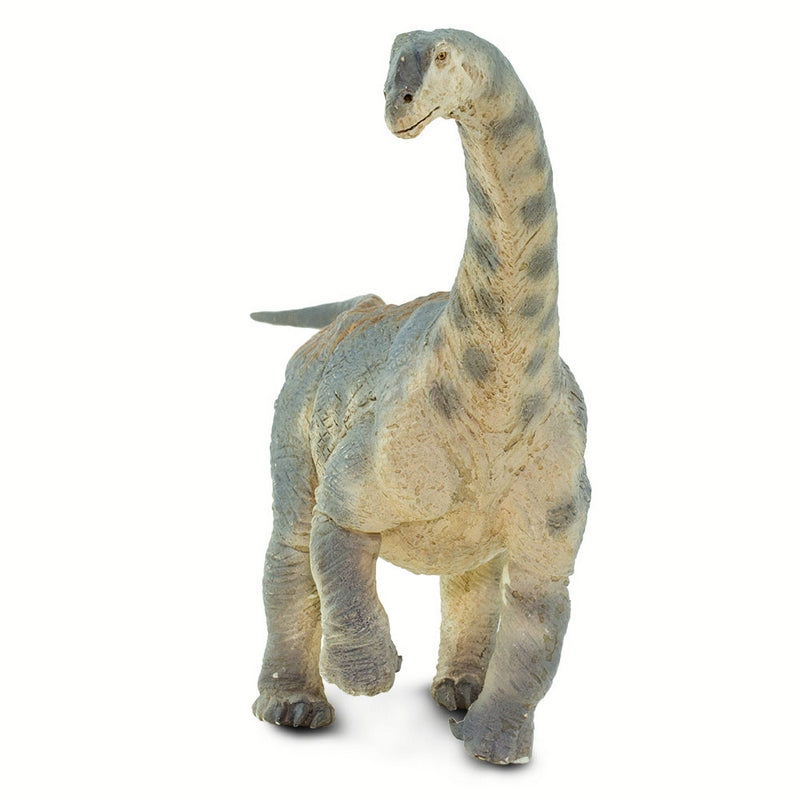 Safari Ltd Camarasaurus