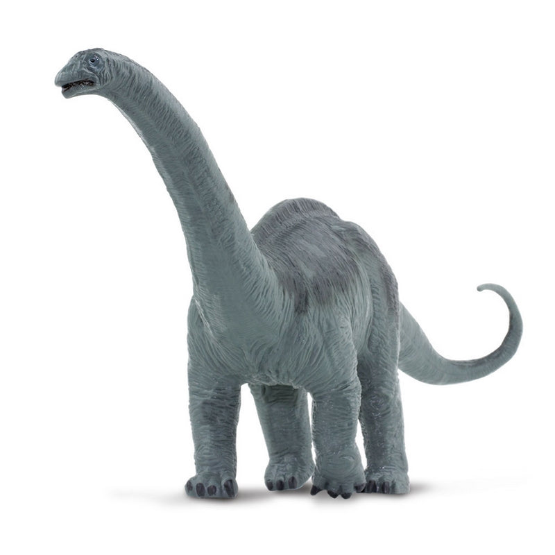 Safari Ltd Apatosaurus