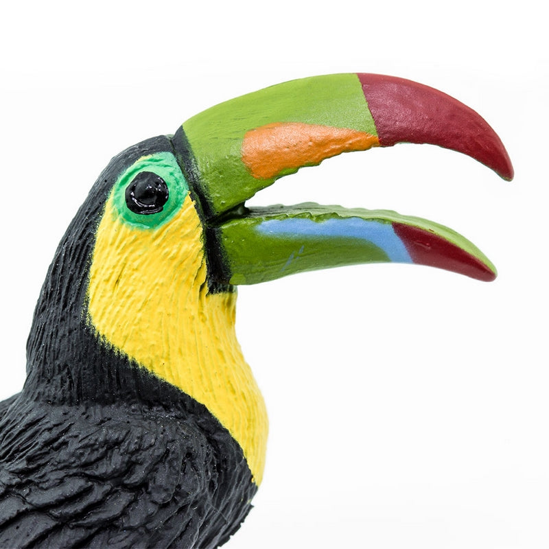 Safari Ltd Toucan