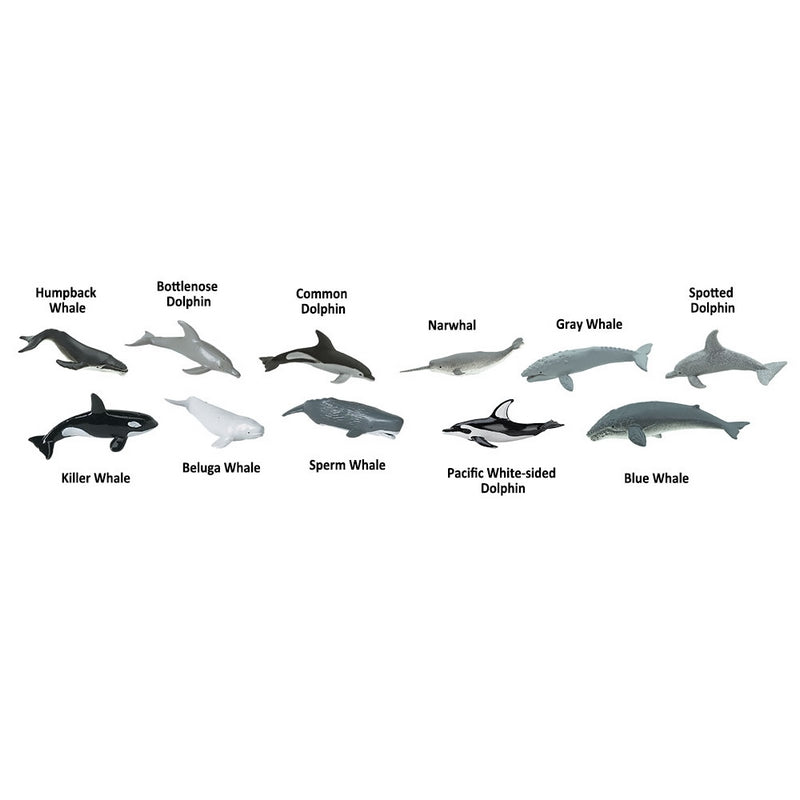 Safari Ltd Whales & Dolphins Bulk Bag