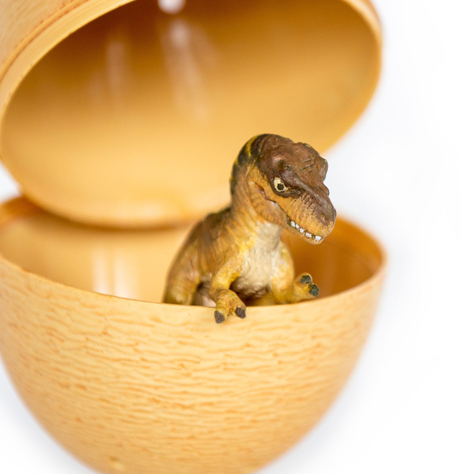 Safari Ltd Dino Dana Tyrannosaurus Rex Baby with Egg