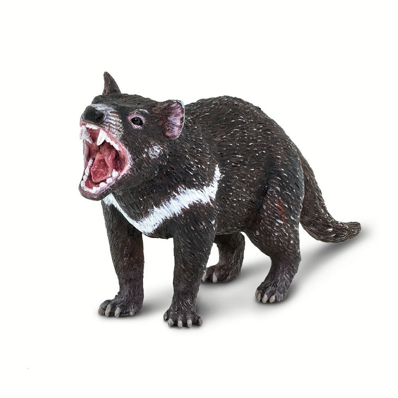 Safari Ltd Tasmanian Devil