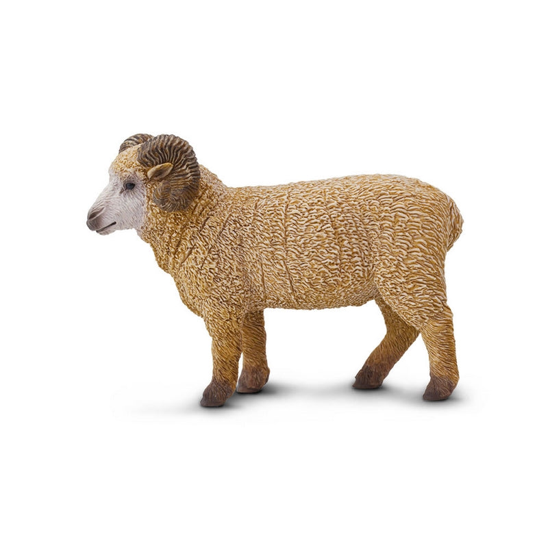 Safari Ltd Ram