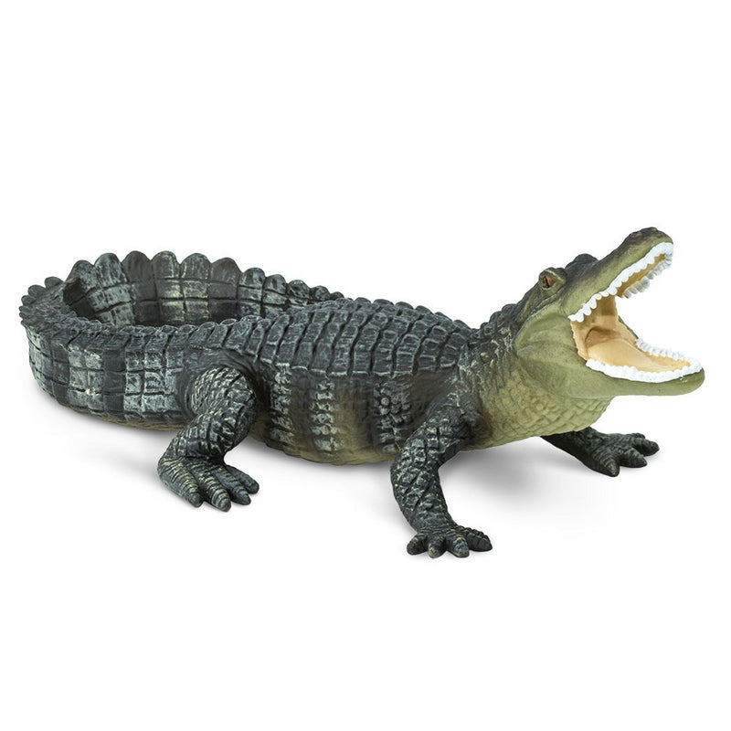 Safari Ltd Alligator