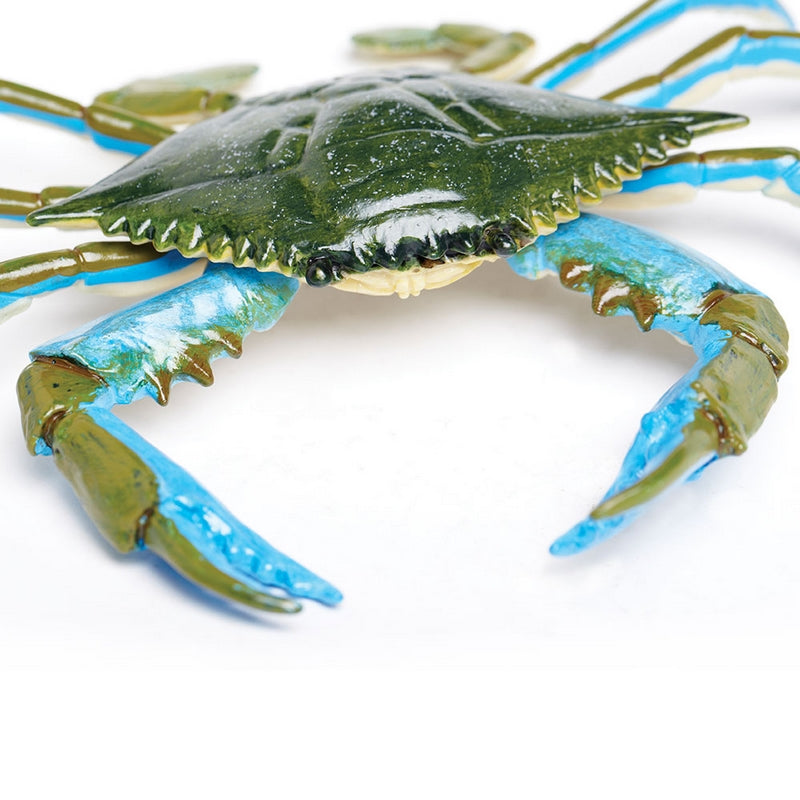 Safari Ltd Blue Crab