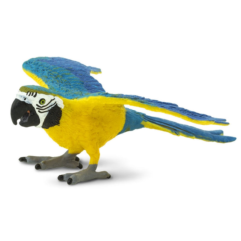 Safari Ltd Blue & Gold Macaw