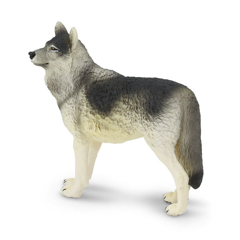 Safari Ltd Gray Wolf