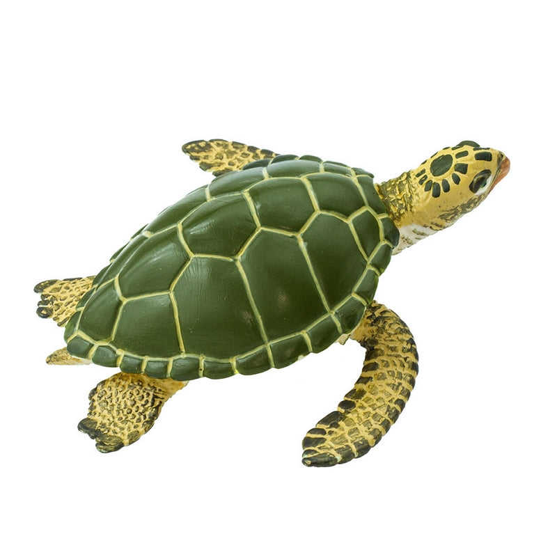 Safari Ltd Green Sea TurtleSea Life