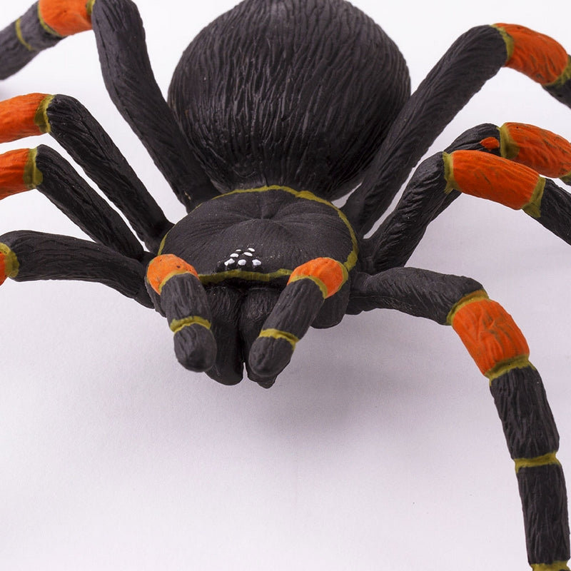 Safari Ltd Orange-Kneed Tarantula