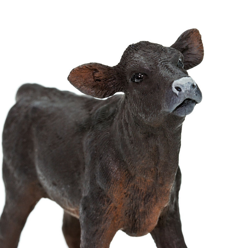 Safari Ltd Angus Calf