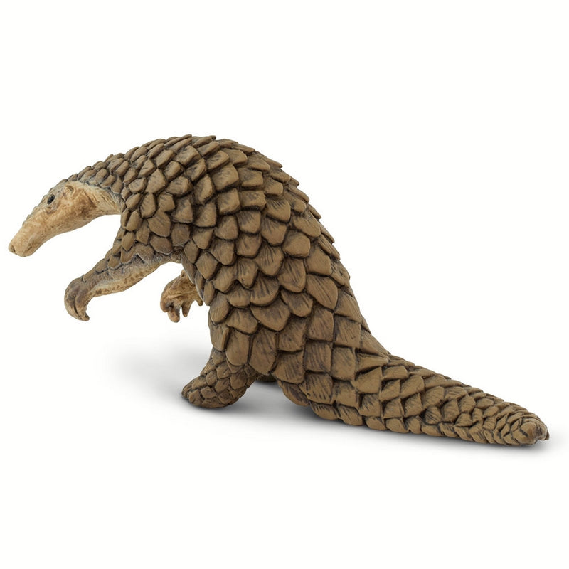 Safari Ltd Pangolin