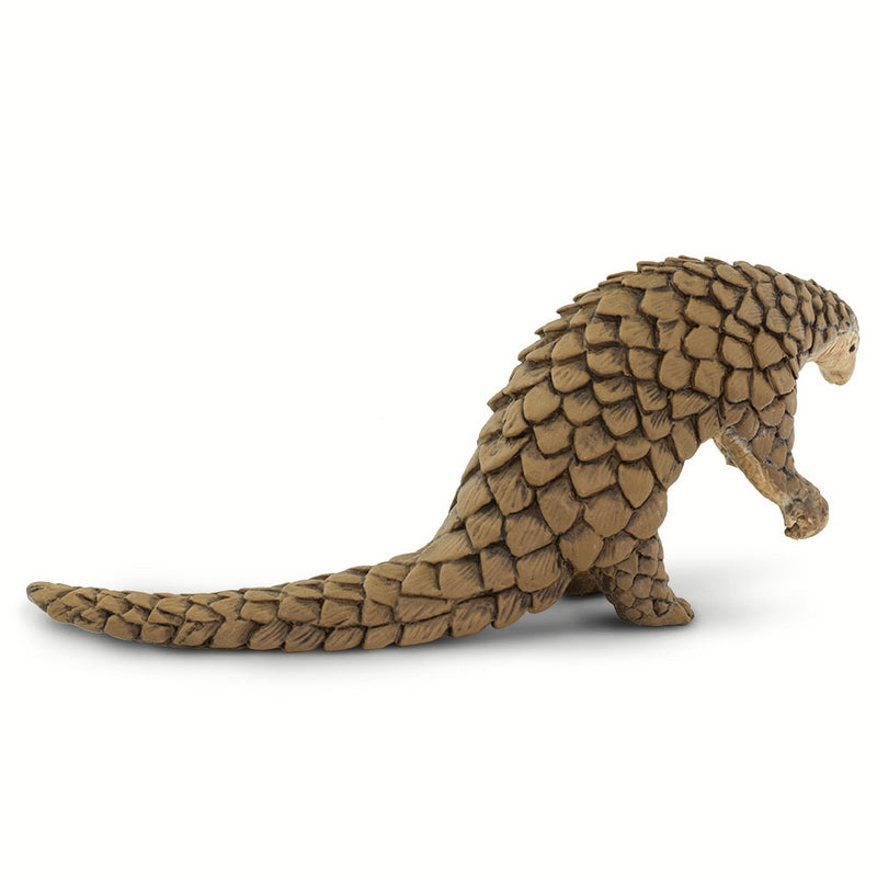 Safari Ltd Pangolin