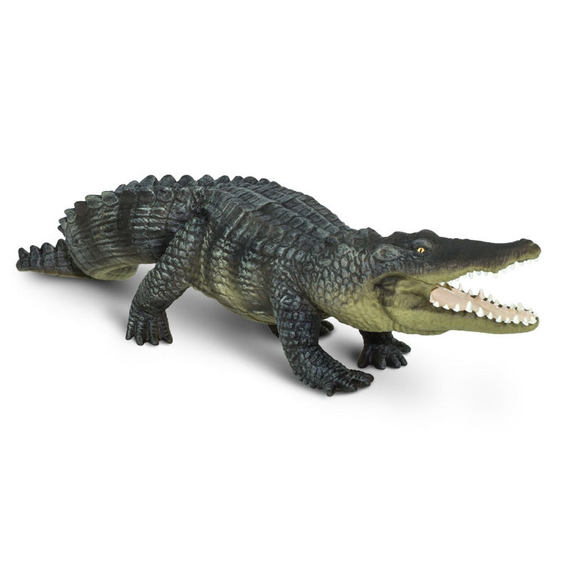 Safari Ltd Saltwater Crocodile