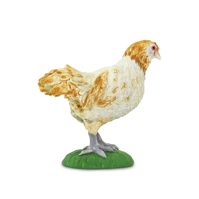 Safari Ltd Ameraucana Chicken