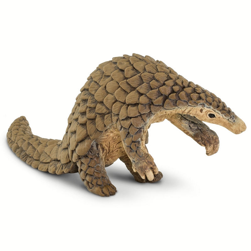 Safari Ltd Pangolin