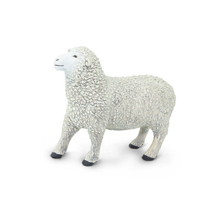 Safari Ltd Sheep