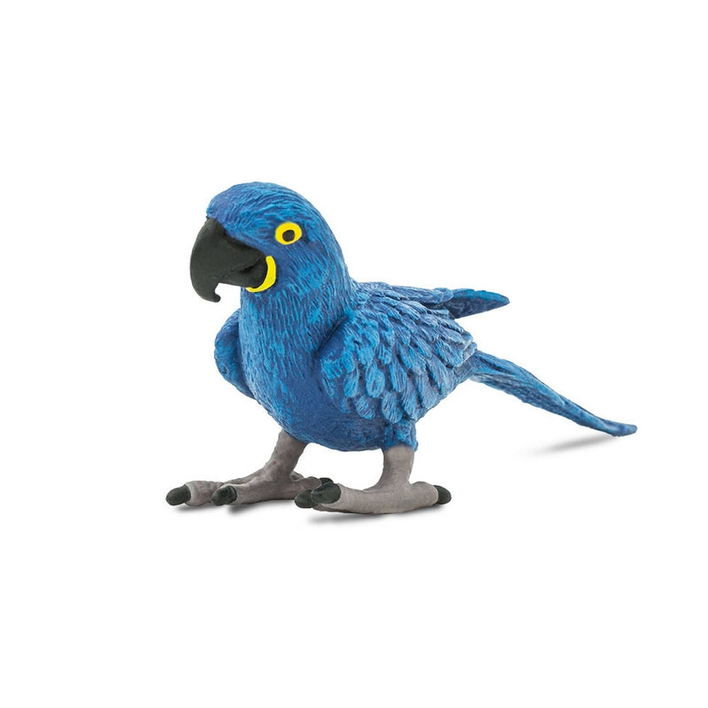 Safari Ltd Hyacinth Macaw