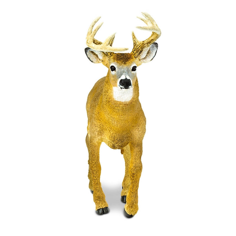 Safari Ltd Whitetail Buck