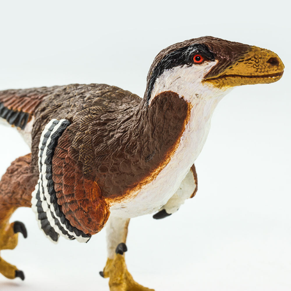 Safari Ltd Deinonychus