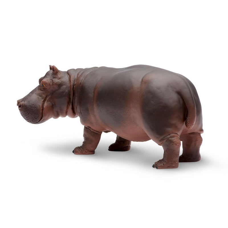 Safari Ltd Hippopotamus